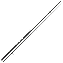 Спиннинг Daiwa BG Boat 2.10m 150-400g