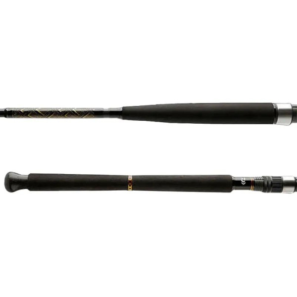 Spinning rod Daiwa BG Boat 2.10m 150-400g