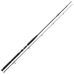 Спиннинг Daiwa BG Boat 2.40m 150-400g