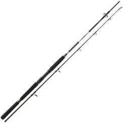 Спиннинг Daiwa BG Offshore Boat 2.1m 150-400g