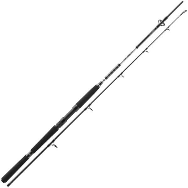 Спиннинг Daiwa BG Offshore Boat 2.1m 150-400g