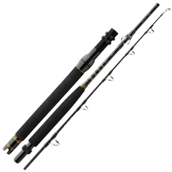 Spinning travel Daiwa BG Big Game 1.68m 150-500g