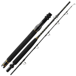 Spinning travel Daiwa BG Big Game 1.68m 300-800g