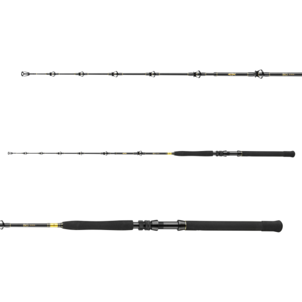 Spinning travel Daiwa BG Big Game 1.68m 300-800g