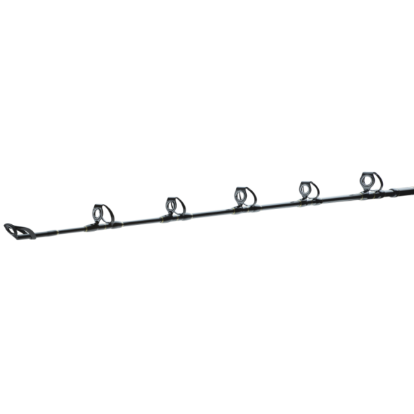 Spinning travel Daiwa BG Big Game 1.68m 300-800g