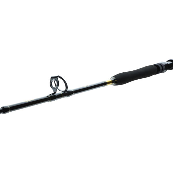Spinning travel Daiwa BG Big Game 1.68m 300-800g