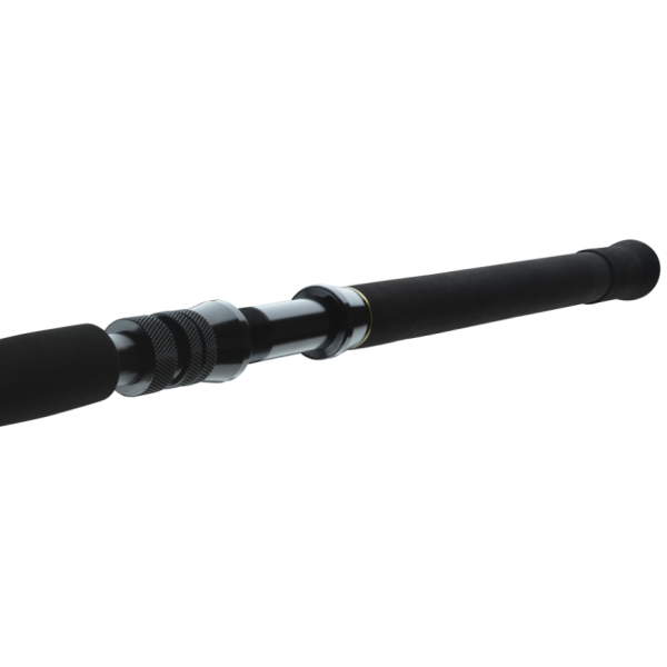 Spinning travel Daiwa BG Big Game 1.68m 300-800g