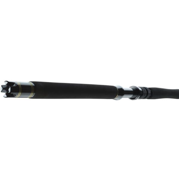 Spinning travel Daiwa BG Big Game 1.68m 300-800g