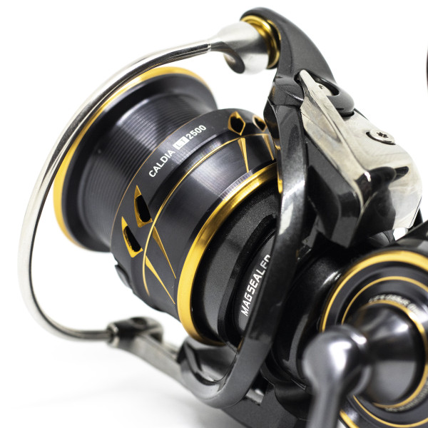 Катушка Daiwa 21 Caldia LT 4000S-C