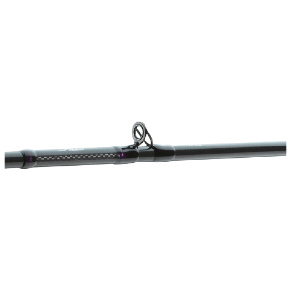 Spinning casting. Daiwa Prorex AGS Bait Big Allround 8`3" 2.52m 220g