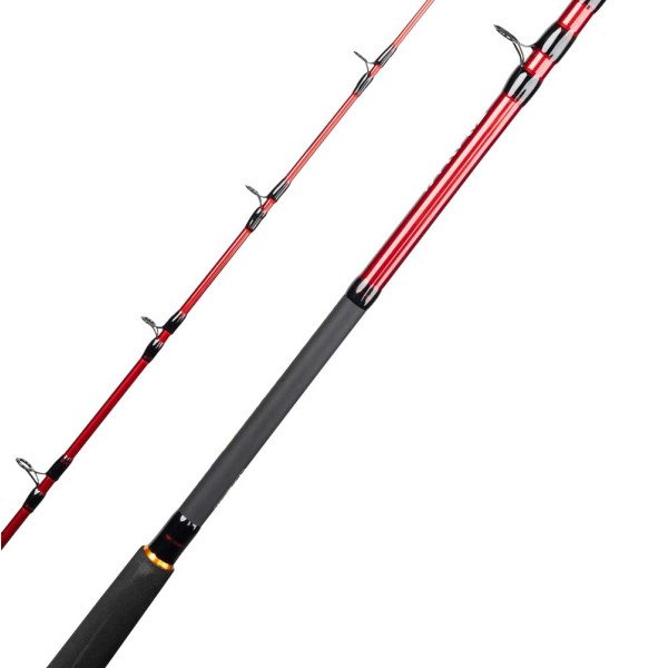 Спиннинг Daiwa Seahunter Boat 2.13m 20-30LB