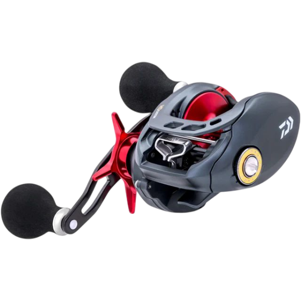 Daiwa Tatulion HD 200HL Multiplier Reel
