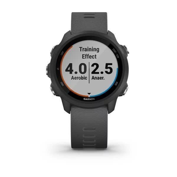 Garmin Forerunner 245 Smartwatch (Gray)