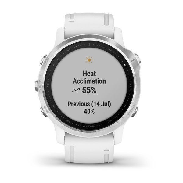 Смарт-часы Garmin Fenix 6S серебристые с белым ремешком