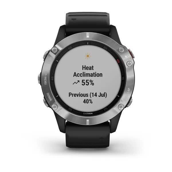 Garmin Fenix ​​6S Smartwatch Silver with Black Strap