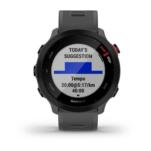 Смарт-часы Garmin Forerunner 55 Monterra Grey
