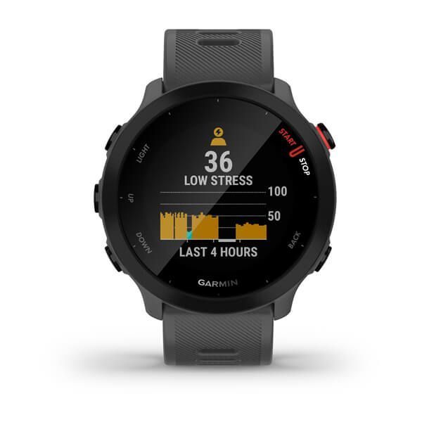 Смарт-часы Garmin Forerunner 55 Monterra Grey