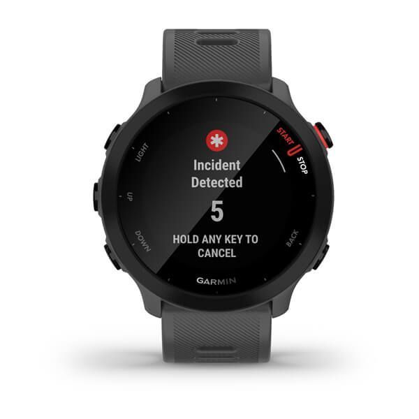 Смарт-часы Garmin Forerunner 55 Monterra Grey