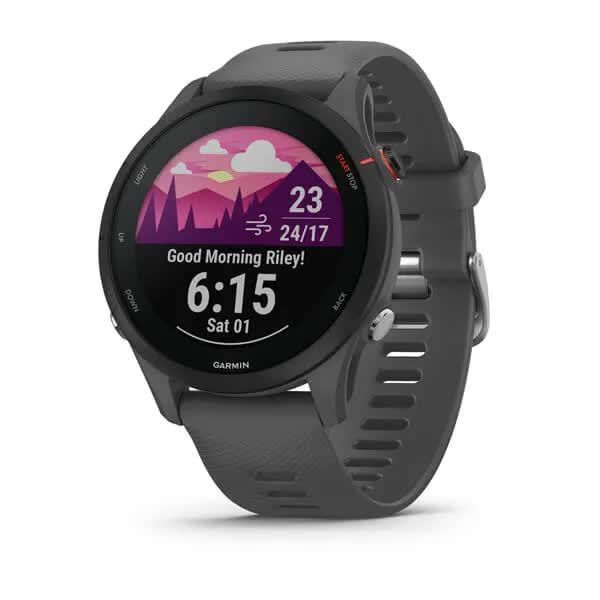 Смарт-часы Garmin Forerunner 255, цвет сланцевый серый