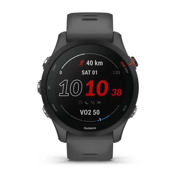 Смарт-часы Garmin Forerunner 255, цвет сланцевый серый