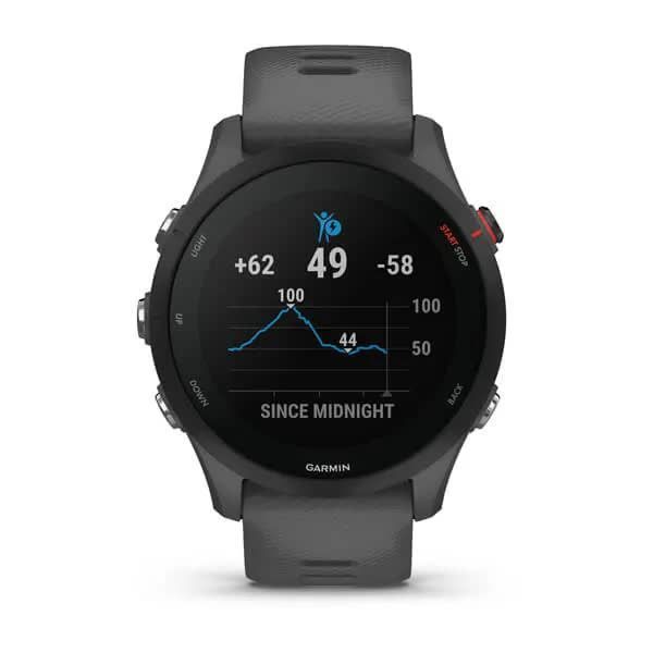 Смарт-часы Garmin Forerunner 255, цвет сланцевый серый