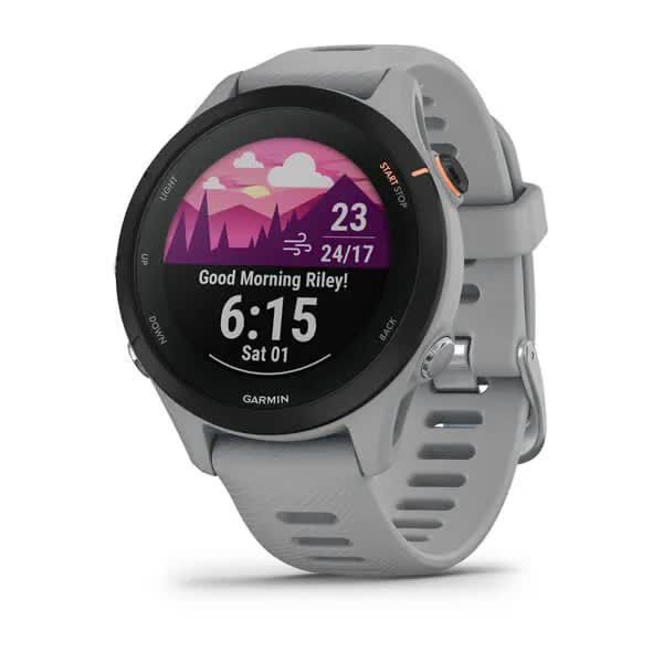 Смарт-годинник Garmin Forerunner 255S пудрові сірі
