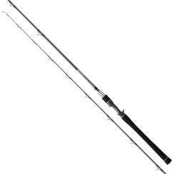Spinning rod Tenryu Bay Blaze BBZ662B-M 1.98m 7-35g Casting