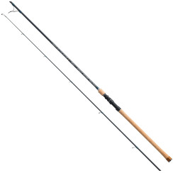 Spinning rod Tenryu Rayz Integral RZI96HH 2.89m 12-45g