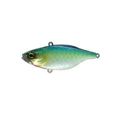 Jackall Skull Shell TN70 Maruhata Sound 17.3g Maruhata Gin Lime