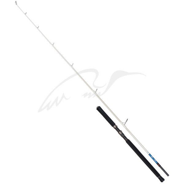 Spinning rod Savage Gear Salt 1DFR Pop n Stick 7'9"/2.34m 80-150g (1.5 parts)