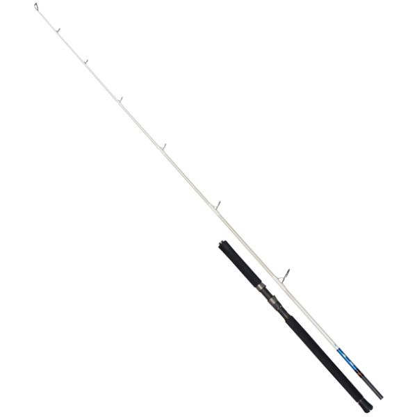 Spinning rod Savage Gear Salt 1DFR Pop n Stick 7'9"/2.34m 100-200g (1.5 parts)
