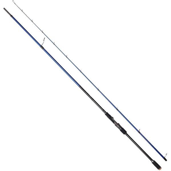 Spinning rod Savage Gear SGS6 Long Casting 9'6''/2.90m 10-35g