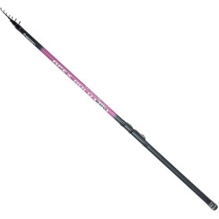 Brain Apex Bolo NEW 6m fishing rod