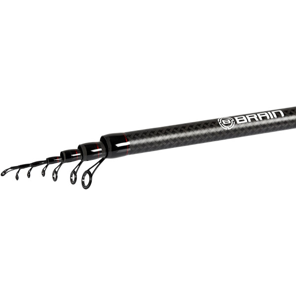 Bolognese rod Brain Axent 6m fact. length - 5.87 m, 333 g