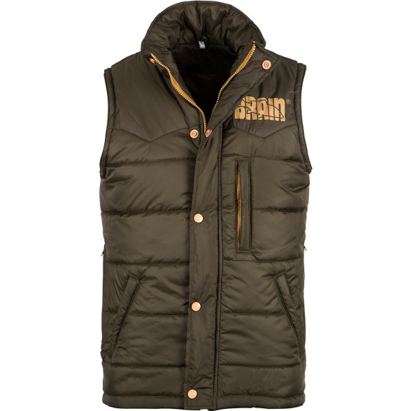 Brain Carp L vest, olive