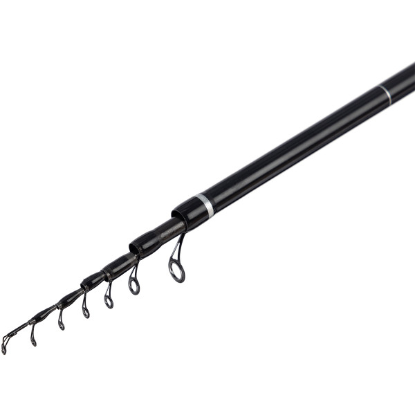 Brain Scout SE Bolognese fishing rod 4m