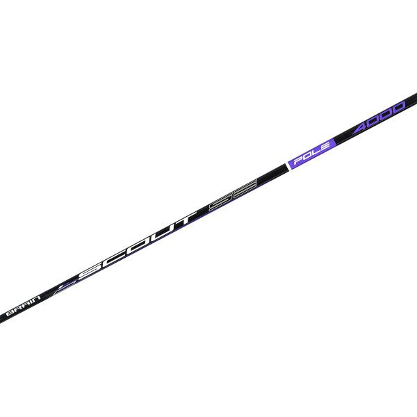 Brain Scout SE Pole 4m fly rod