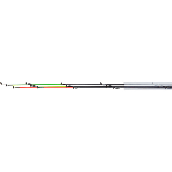 Brain Classic Quivertip 2.70m Max 180g (Set) #1