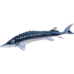 3KBaits Sturgeon Pillow NEW 125x25cm
