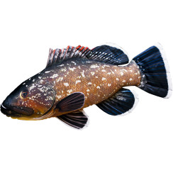 3KBaits New Stone Bass Pillow, 100x45cm