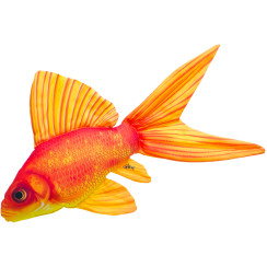 3KBaits Goldfish Pillow NEW 50x30cm