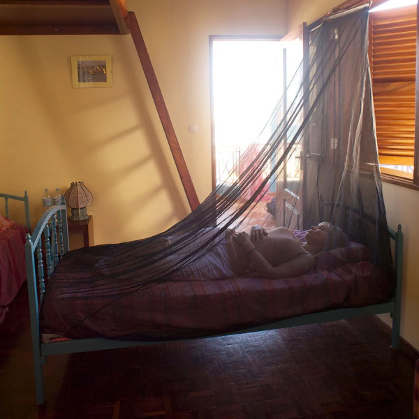 Lifesystems Solo Net Single Mosquito Net