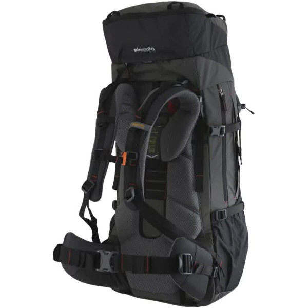 Pinguin Activent 55 Backpack (2020) color: black