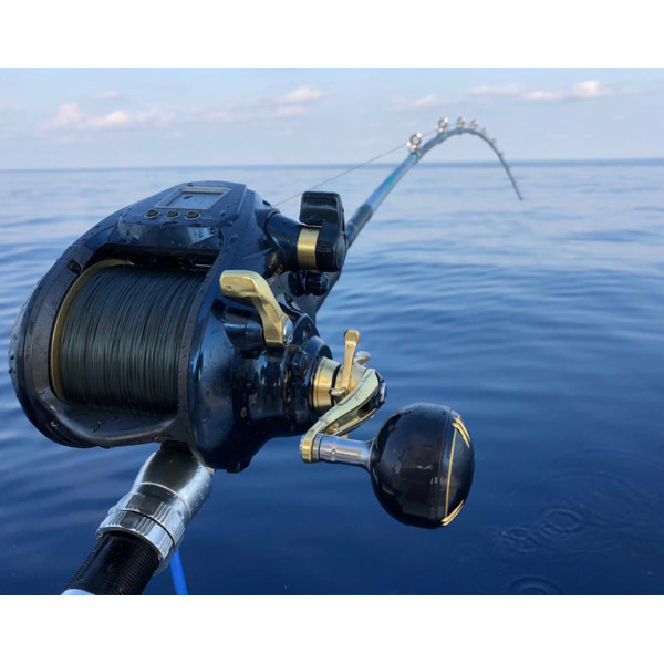 Shimano Beastmaster 9000 A 12+2BB reel