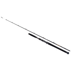 Spinning rod Shimano Beastmaster Catfish Vertical185cm 200g 1+1pc Casting