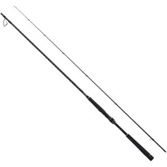 Спиннинг Shimano Exsence Genos S110HR 3,35m 11’0" 14-70g 2pc