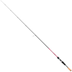 Shimano Bassterra XT Spinning 266MH 1.98m 5-20g