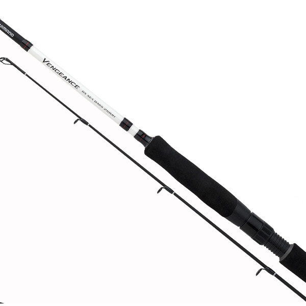 Spinning rod Shimano Vengeance BX Sea Bass 21H 2.10m 20-60g