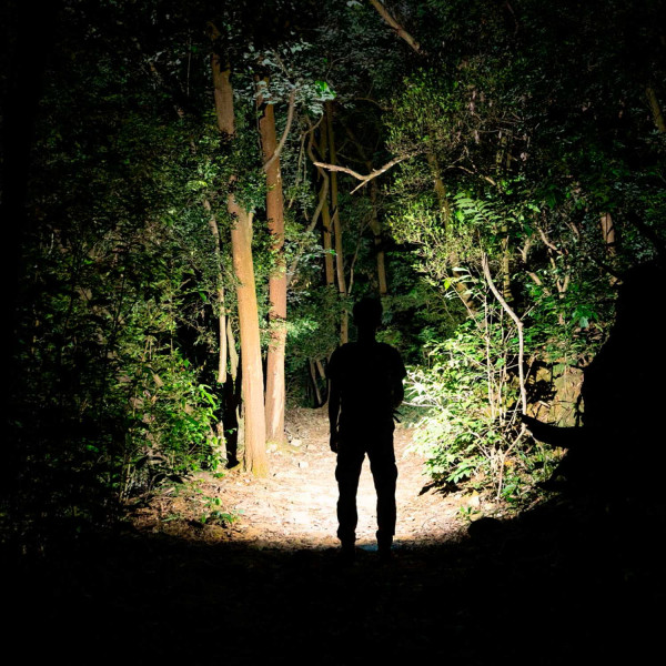 Olight Arkfeld Black Flashlight
