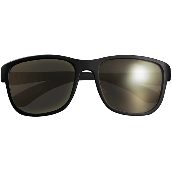 RidgeMonkey Pola-Flare Seeker Glasses